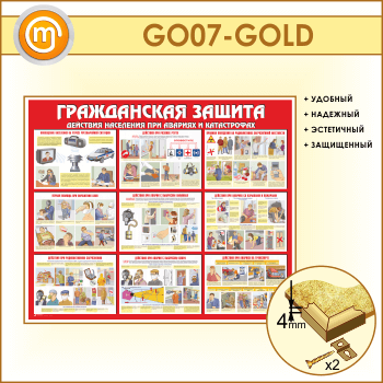 ����� ������������ ������ (GO-07-GOLD)