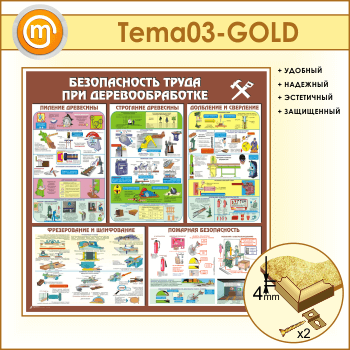 ����� ������������� ����� ��� ��������������� (TM-03-GOLD)