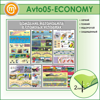 ����� ��������� ���������� � ������� ��������� (AV-05-ECONOMY)