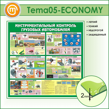 ����� ����������������� �������� �������� ����������� (TM-05-ECONOMY)