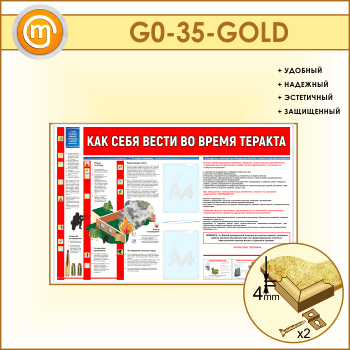 ����� ���� ���� ����� �� ����� ������� c 2 ��������� (GO-35-GOLD)