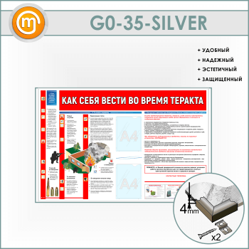 ����� ���� ���� ����� �� ����� ������� c 2 ��������� (GO-35-SILVER)