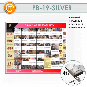 ����� ��������� ������������� (PB-19-SILVER)