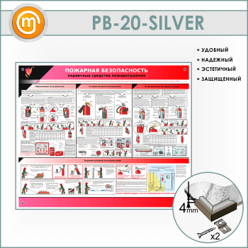 ����� ��������� ������������. ��������� �������� �������������� (PB-20-SILVER)