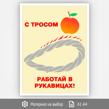 ������ �� ������ ������� � ���������� (����-12, 1 ����)